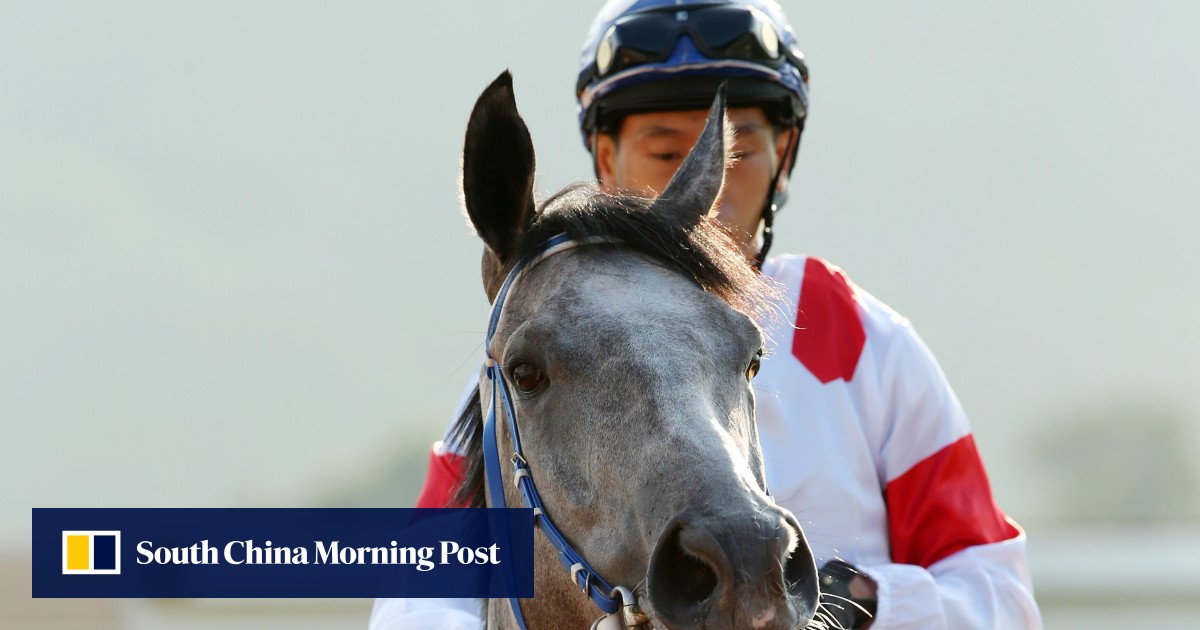 Classique Legend kicks off Australian simulcast revival, Maia to ‘keep fighting’