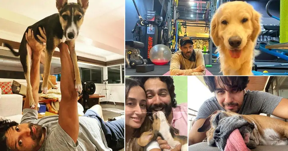 Fathers Day 2021: Meet the dog daddies of Bollywood