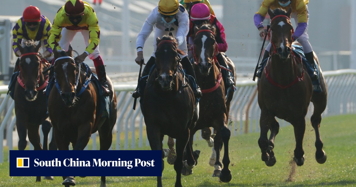 Golden Sixty dominates Champion Awards nominations