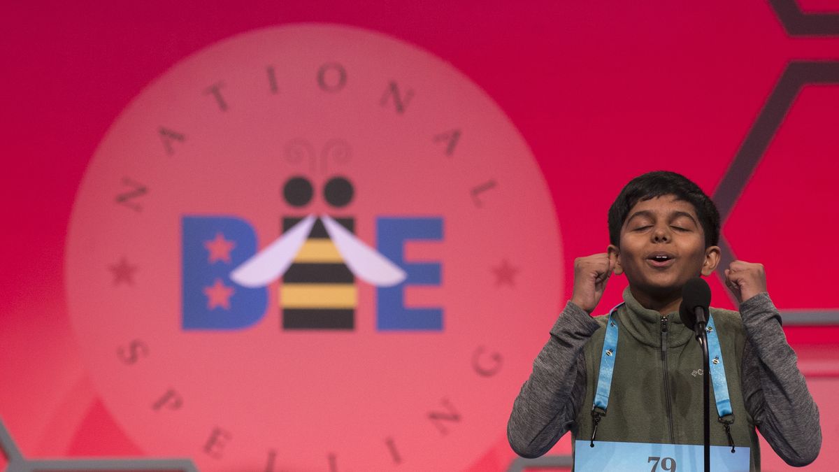 How to watch The Scripps National Spelling Bee Finals online