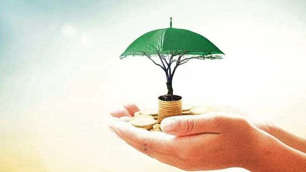 Life Insurance: Who is a beneficial nominee?