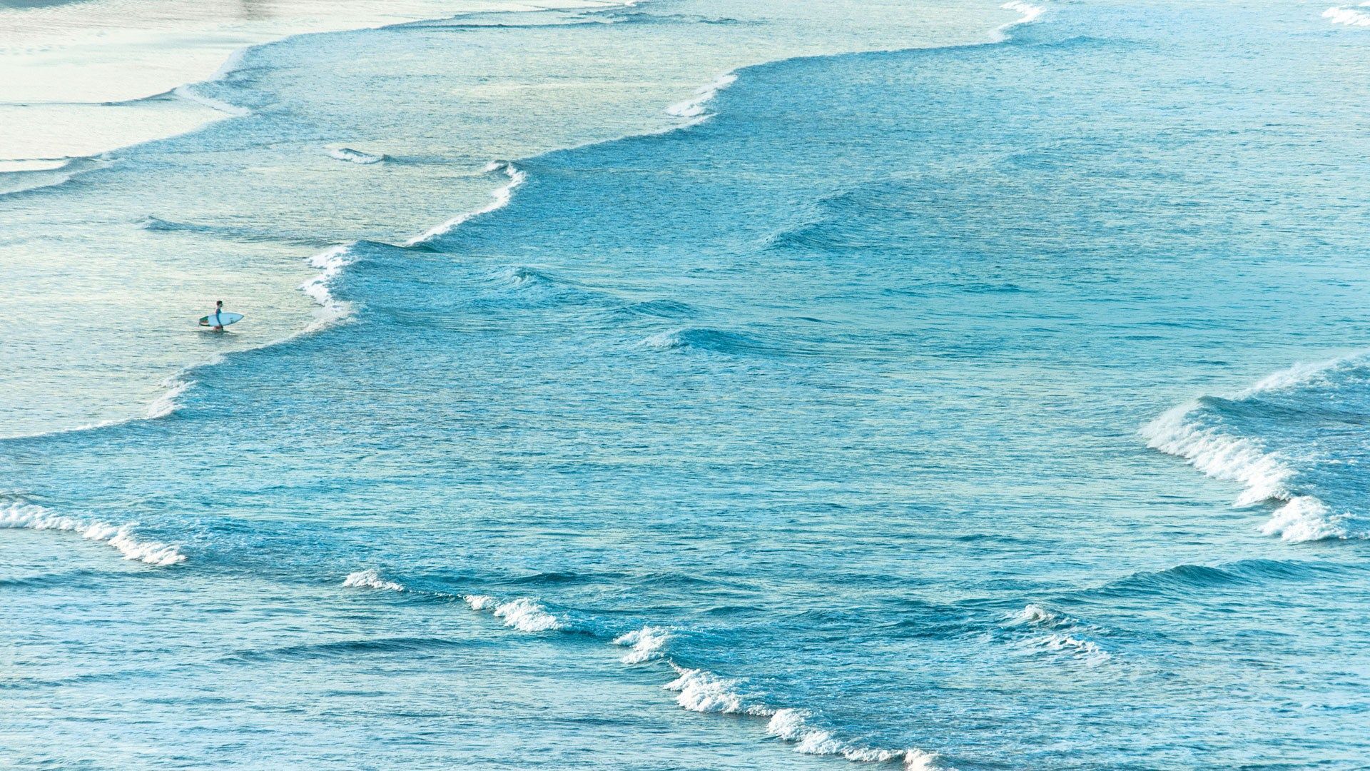 Costa Rica's new groove