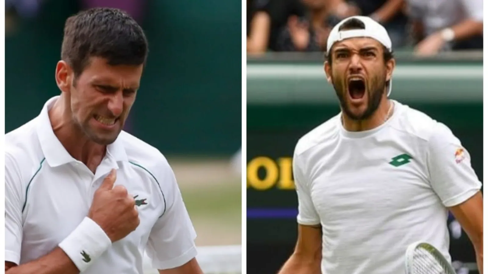 Djokovic Vs Berrettini Wimbledon 2021 Final Live Streaming Online: When and Where to watch on TV and online