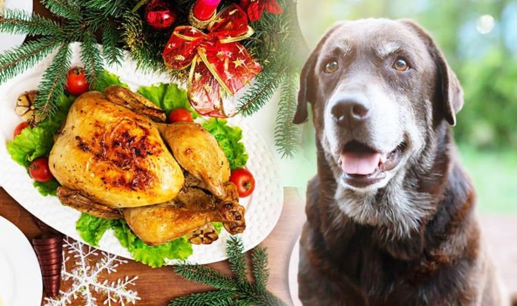 Pet owners warned as Christmas food can