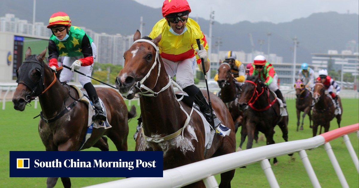 Callan delights Hong Kong punters once more as debutant smashes Griffin record