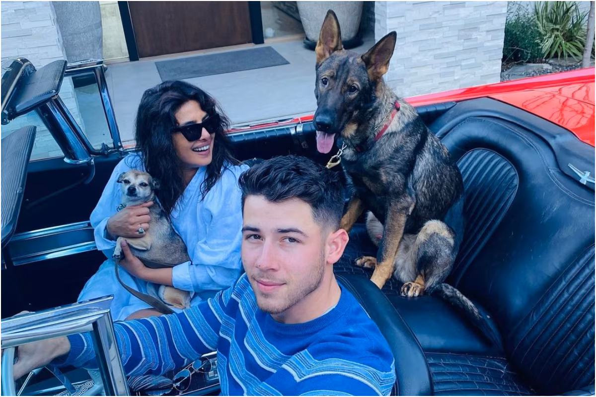 Priyanka Chopra, Nick Jonas All Set to Go on a Drive with Their Pet Fam