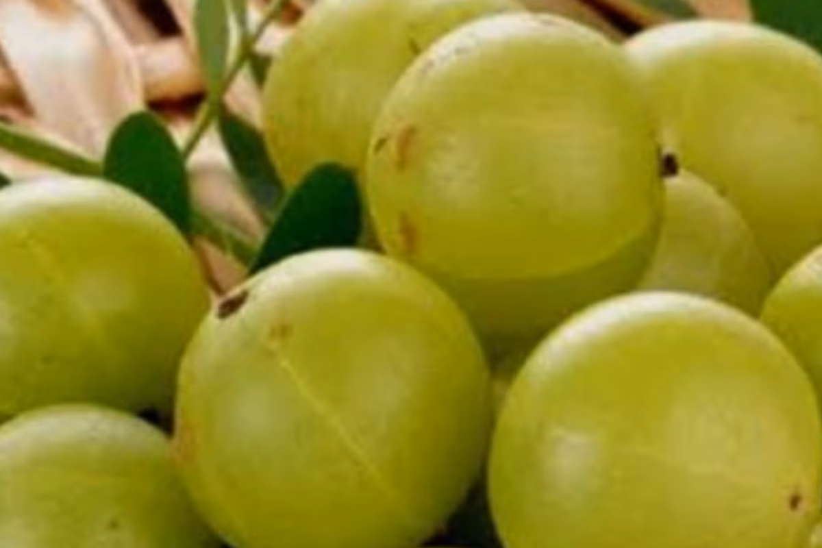 7 Amazing Health Benefits of Amla