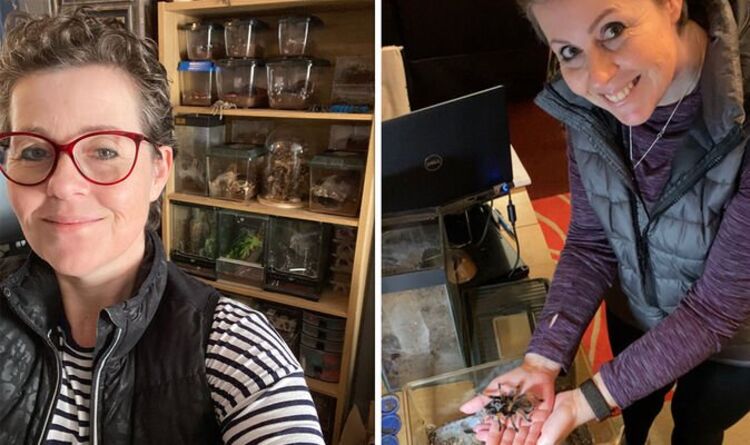 Woman has 32 tarantulas to 'confront fear' of spiders– 'I have a healthy respect for them'