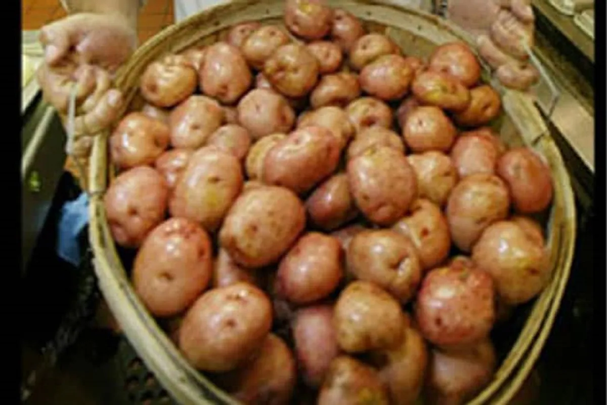 Honey, Potato and Other Home Remedies for Minor Burns on Diwali