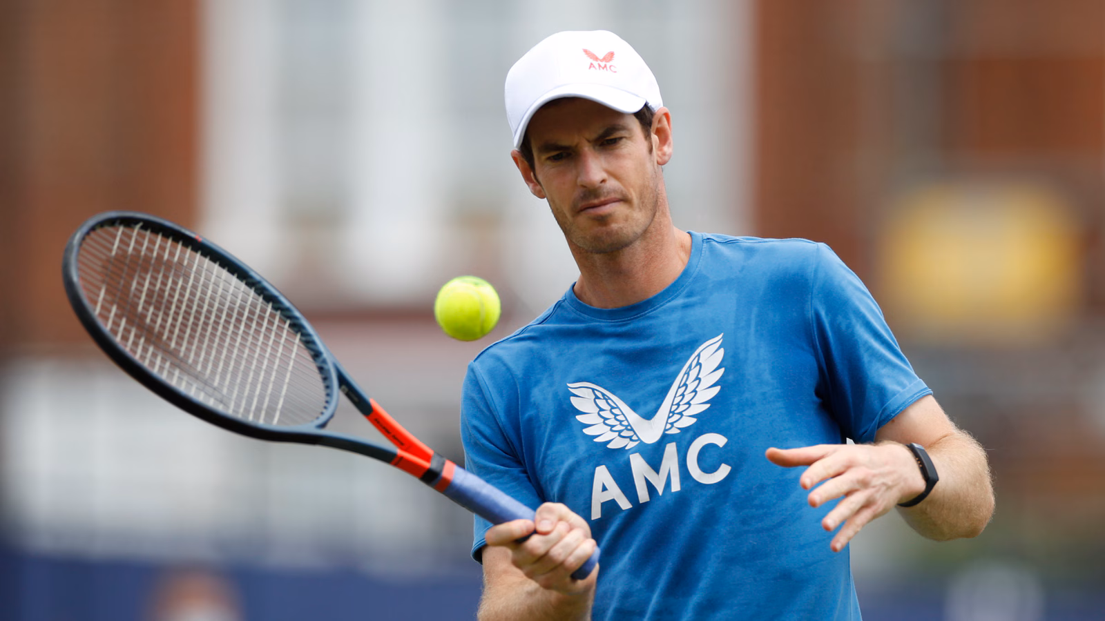 Venus, Murray get Wimbledon wild cards; prize money reduced