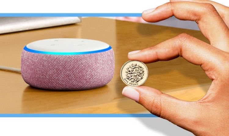 Alexa, show me a Black Friday hack! Awesome trick drops price of Echo Dot to just £3.99