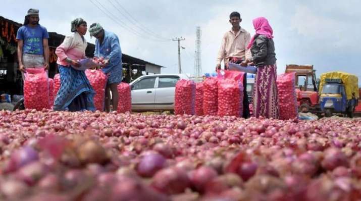 Nafed finalises bidders, issues order for supply of 15,000 tonnes of imported onions