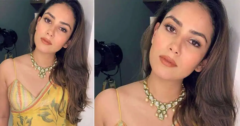 Mira Kapoor Shares Pictures From Her Lavish Dinner