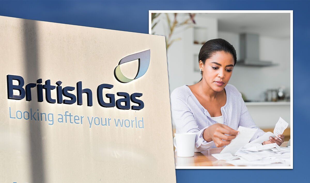 Energy bills rebate: How will energy providers pay you?