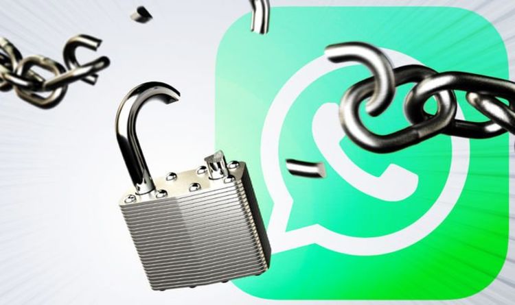 Time to ditch WhatsApp? The best alternative chat apps available on iPhone and Android