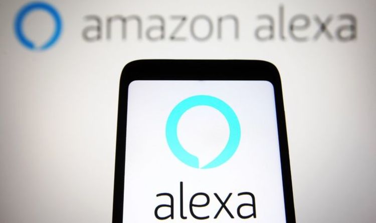 'Alternative' ways of Christmas and Black Friday shopping - including Alexa and TikTok