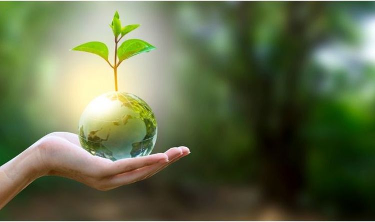 Top tips: How to invest sustainably and fuel change in the world
