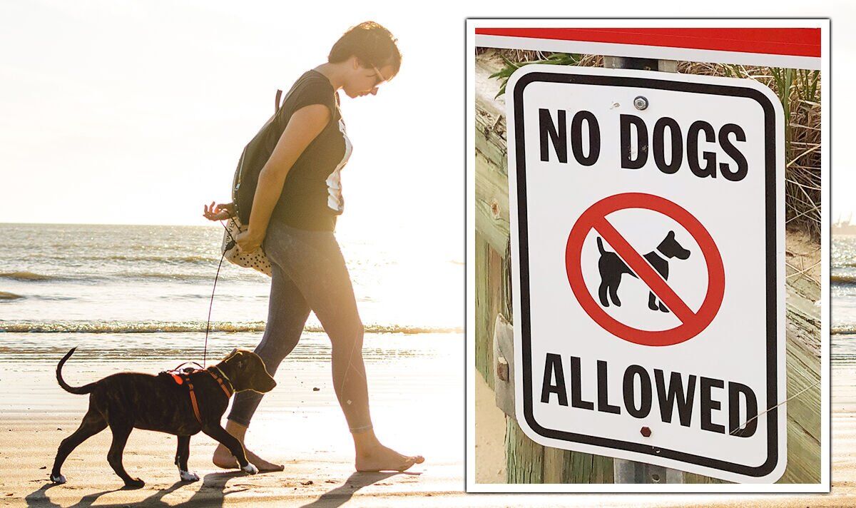 Dog warning: From Wales to Yorkshire - the UK beaches banning dogs from next week