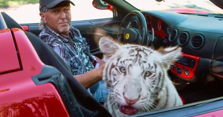 ‘Tiger King’ big cat cubs, mothers to be surrendered to U.S. government
