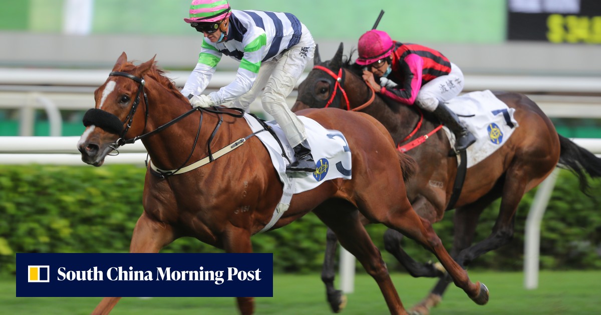 Exciting youngsters Packing Treadmill and Sakewin round off Sha Tin card in style