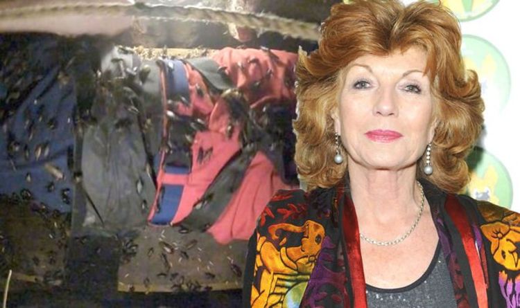 Rula Lenska slams I'm A Celeb as ‘inhumane’ for using live animals in Bushtucker Trials