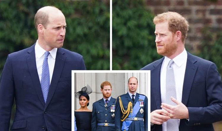 William and Harry’s body language ‘changed’ after Meghan - ‘Brothers on brink of divorce’