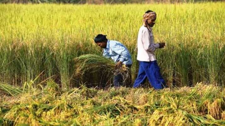 Diwali cheer! Modi govt to deposit Rs 2,000 in farmers' bank account soon