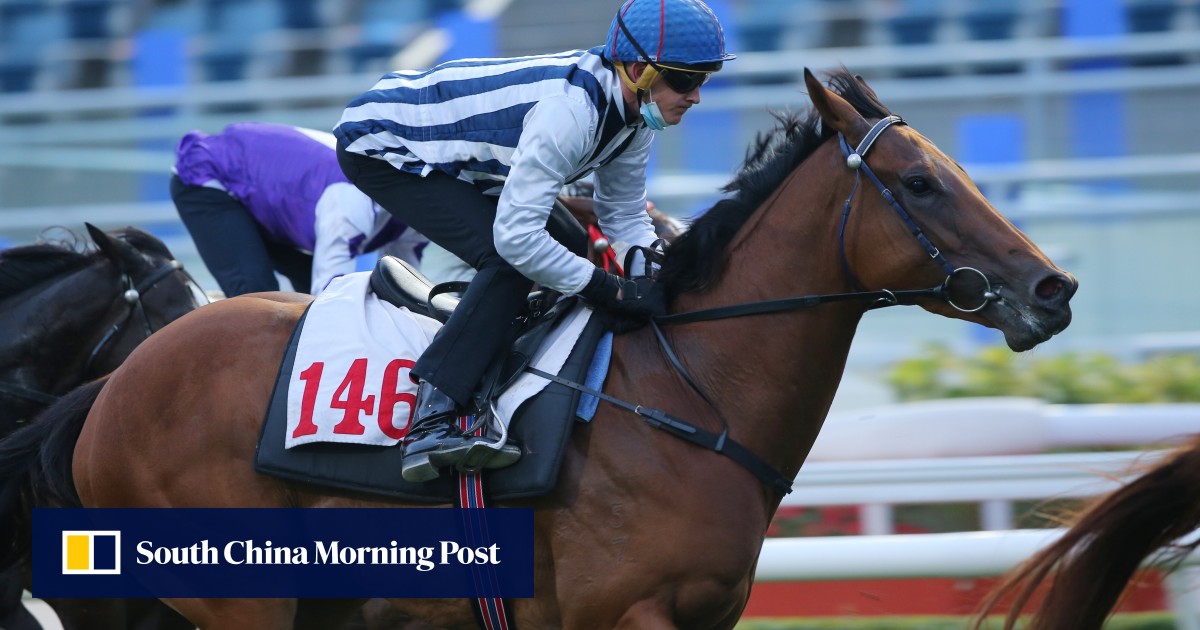 Seasons Bliss could be the key to collecting HK$60m Triple Trio dividend