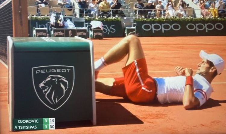 Novak Djokovic takes nasty tumble and crashes into advertising box in French Open final