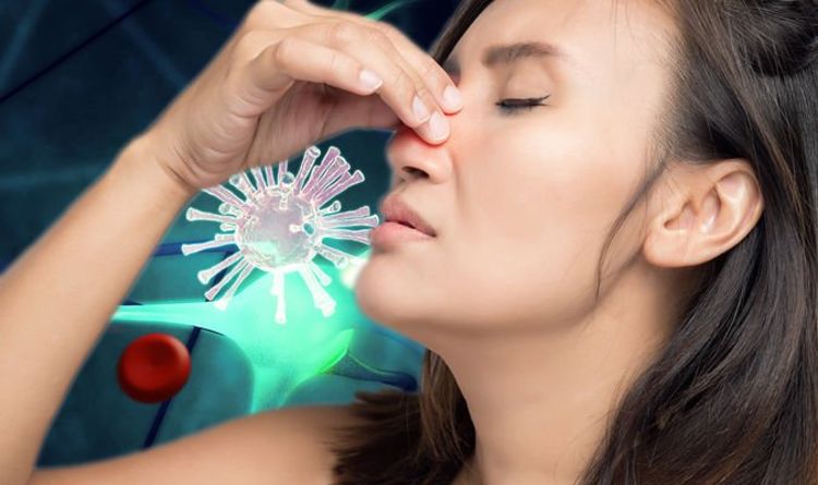 Coronavirus may enter the brain through the nose - the neurological symptoms to look for