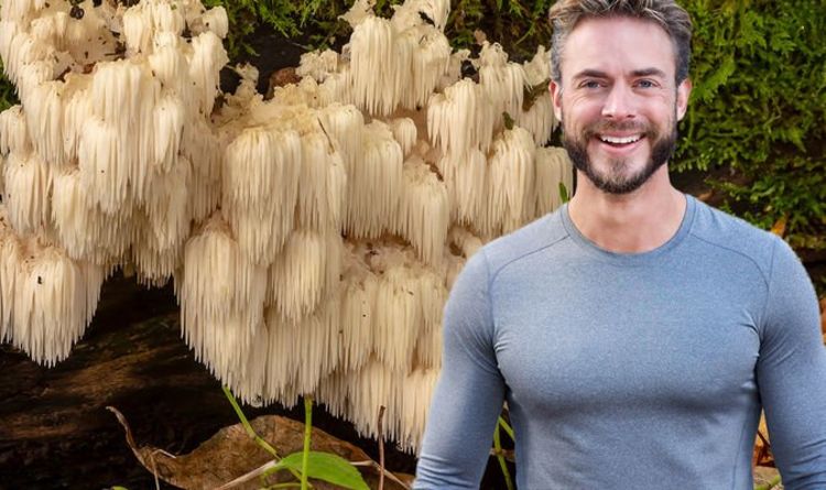 Eating ‘lion’s mane’ may reduce risk of heart disease and offer protection against cancer
