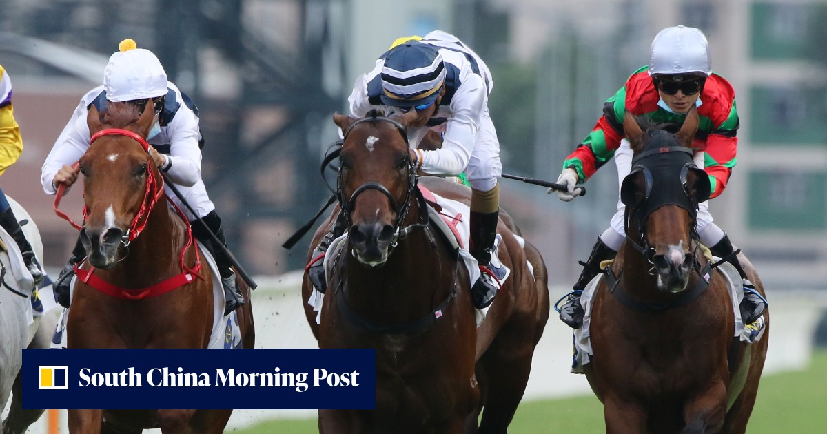 Glorious Dragon ‘going to be seriously hard to beat’ for Millard’s Panfield