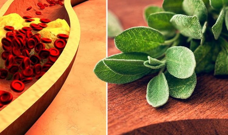 High cholesterol: The 57p herb that causes levels to plummet by almost 20% - 'effective'