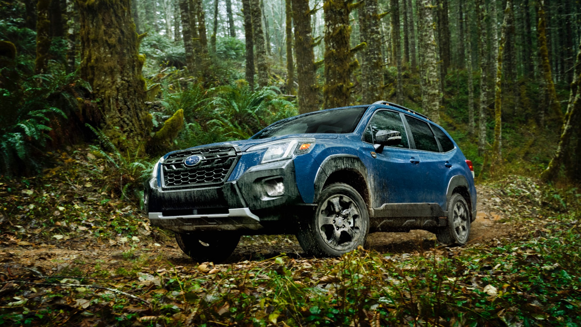 2022 Subaru Forester, Toyota Corolla Cross earn Top Safety Pick+ nods