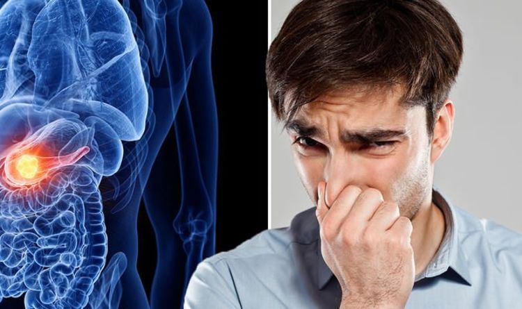 Cancer symptoms: Seven warning signs in your poo that indicate cancer