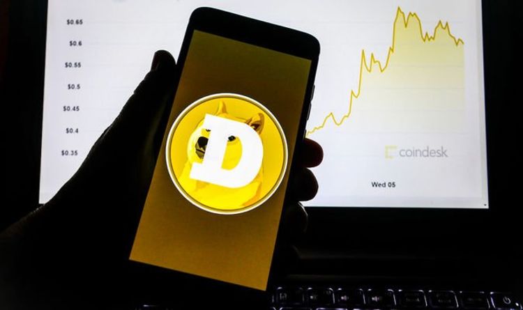 Dogecoin warning: Will Dogecoin reach heights of bitcoin? 'Worst of the crypto industry'