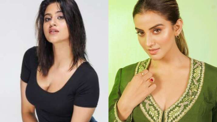 After Anjali Arora, did Bhojpuri actress Akshara Singh's alleged MMS go viral? Here's the truth