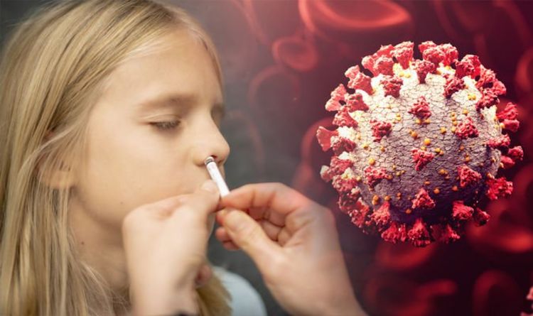 Covid-19 nasal vaccine trial given the green light - ‘no injections, no nasty reactions’