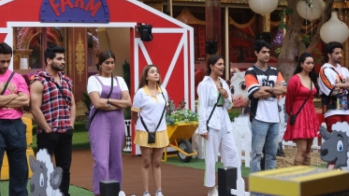 Bigg Boss 16: Tina Datta Plans Birthday Surprise for Sumbul Touqeer and Shalin Bhanot
