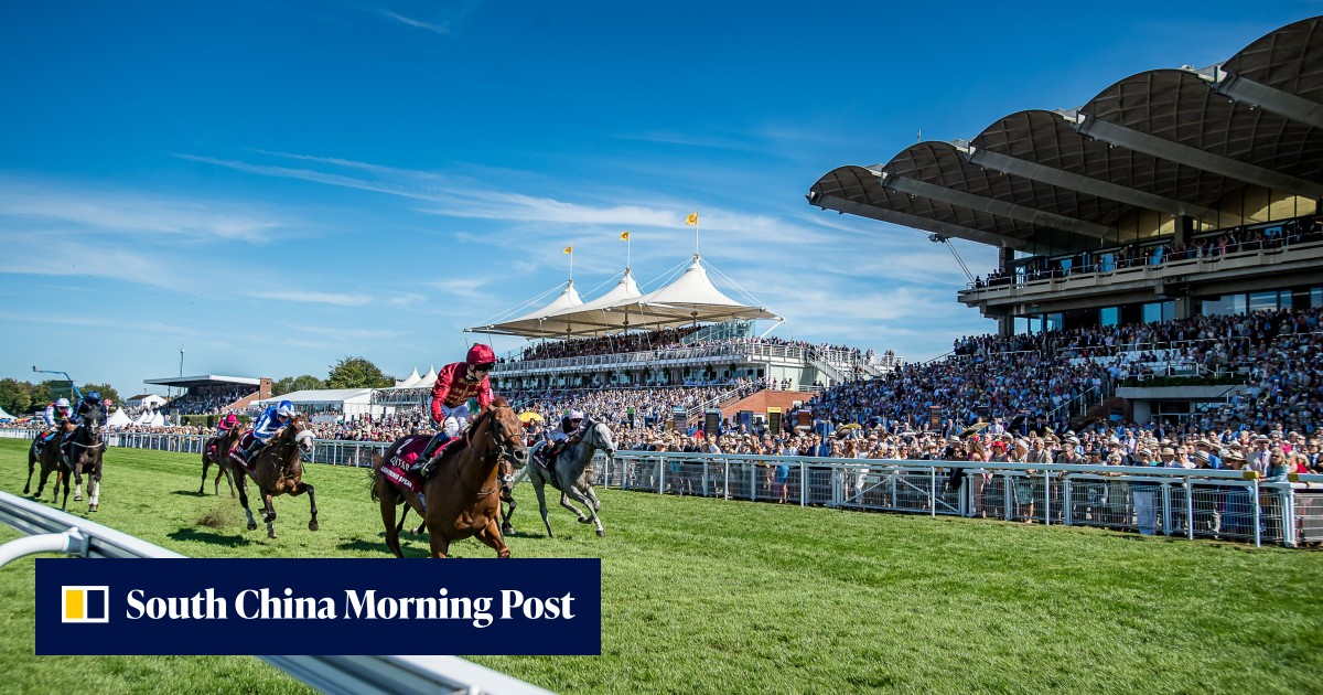 World’s best Baaeed attempts to extend winning streak in Sussex Stakes