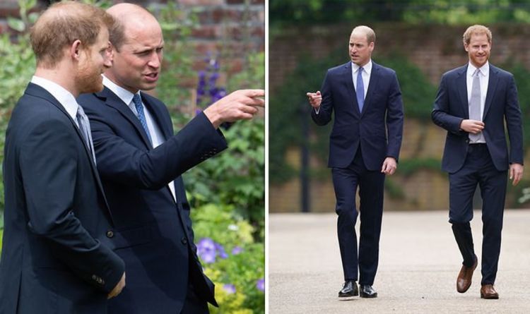 'This is the old Harry and William': Body language of royals at Diana statue unveiling