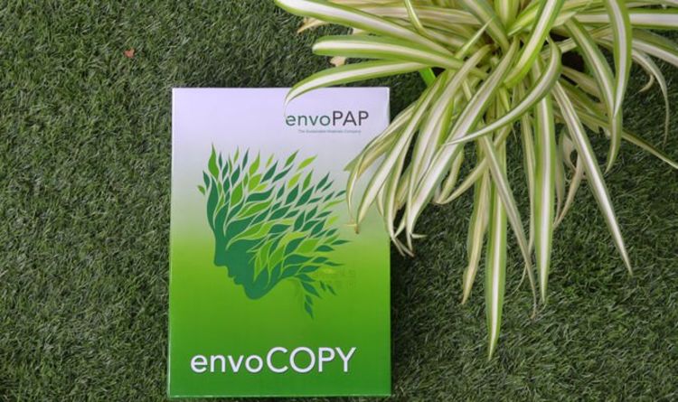 EnvoPAP’s eco packaging delivers plastic-free products for fast food and pet sectors