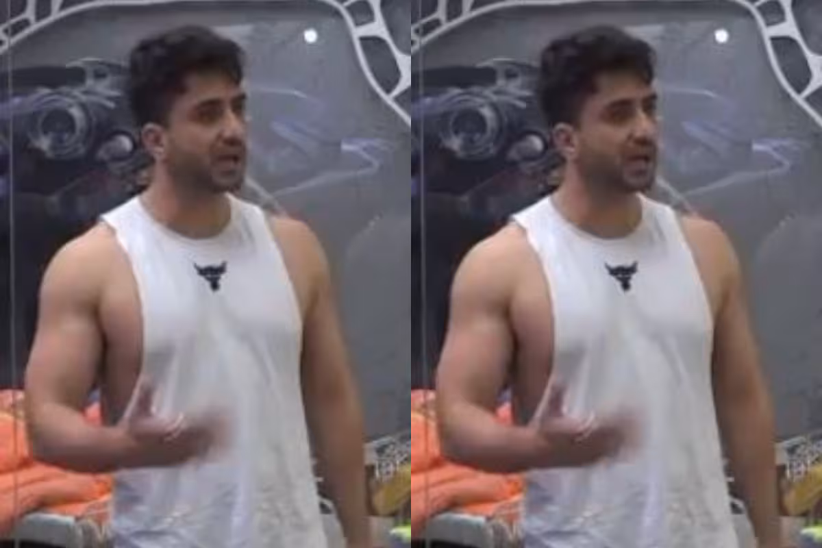 Bigg Boss 14: Aly Goni Loses Cool, Decides Not to Wear Mic or Eat Food