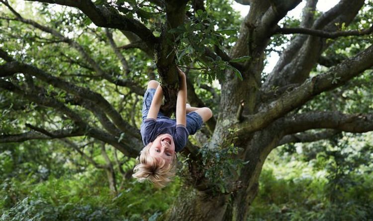 Children still enjoy rolling down hills and getting muddy despite being digital generation