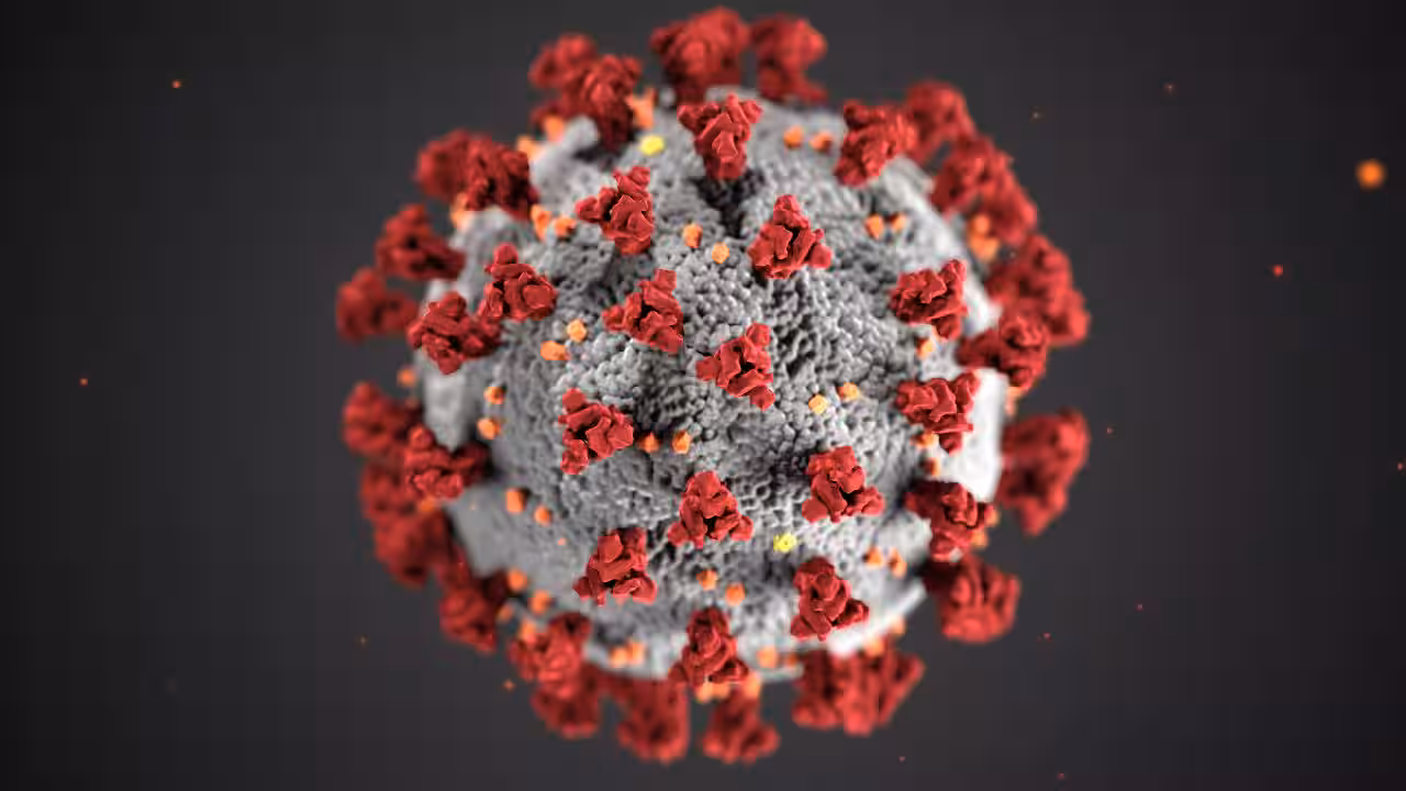 New COVID-19 variant spreading in New York, found in samples from November 2020, studies claim - World News , 