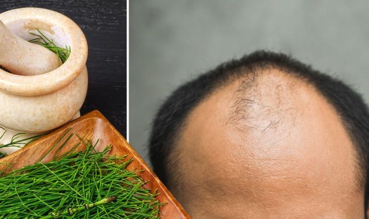 Hair loss treatment: Horsetail extract may inhibit hair loss by blocking its mechanisms