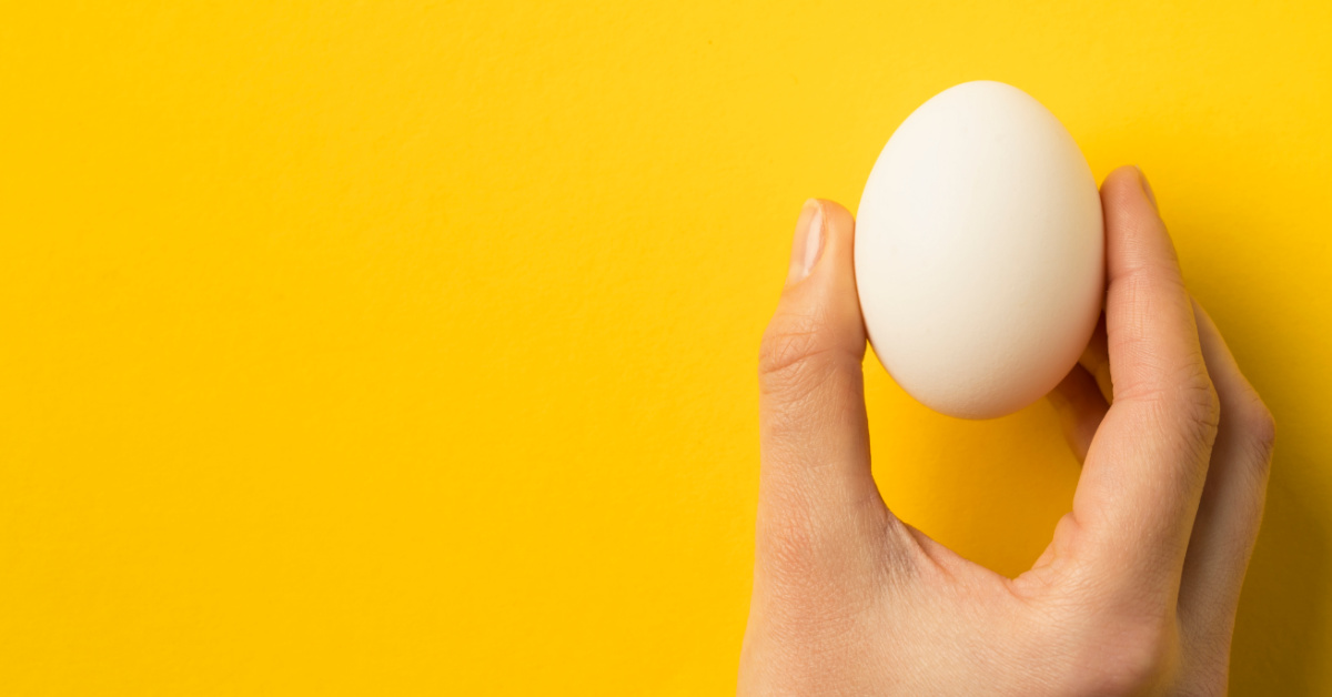 Egg Shell Squeeze Kitchen Science Experiment for Kids | Kids Activities Blog