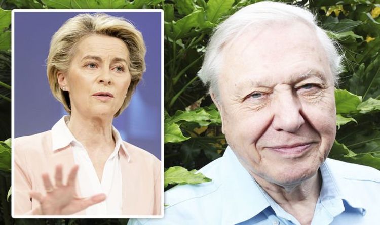 David Attenborough felt EU 'did not pay enough attention' to Britain before Brexit