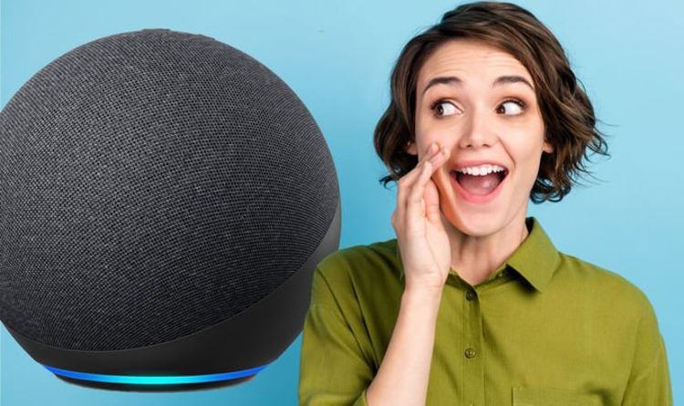 Amazon Echo prices drop again as more new things to ask Alexa are revealed