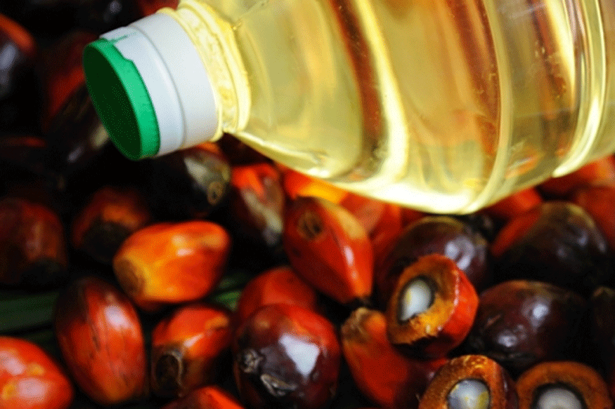Vitamin E Extract from Palm Oil Boosts Immunity, Here's How You Can Add it to Your Diet